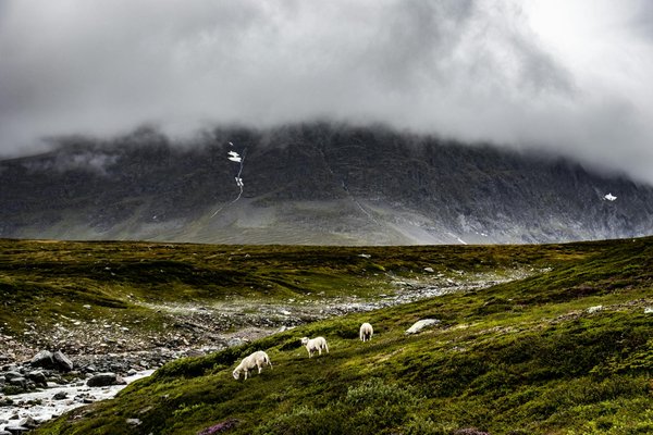 What Are the Best Scenic Hiking Trails in the UK for Nature Lovers?